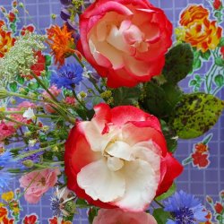 Rosendal Lilla Voksdug med Blomster