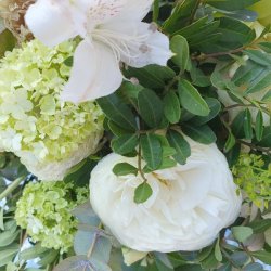 Tekstildug Margueritter Baby Blue 140 cm