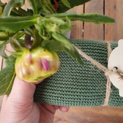 Hndklde Sgrn kologisk