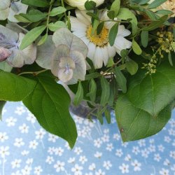 Tekstildug Margueritter Baby Blue 140 cm