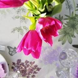 Rund tekstildug Vilde Haver- Elastik 60 cm - OUTLET