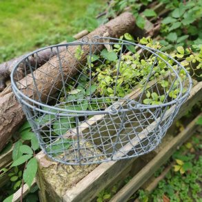 Oval tr�dkurv i zink - stor