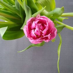 Voksdug Sort Prikker Au Maison 140 cm