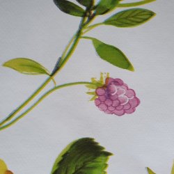 hindbr, blbr og blomster p voksdugen