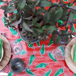 Forklde i voksdug med chili