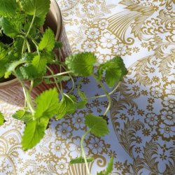  Paraiso Hvid Mexicansk Voksdug med Guldm�nster