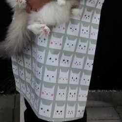 Forklde i Voksdug Katte