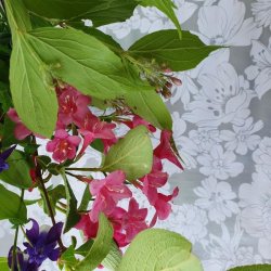 Aleta Gr� S�lv Voksdug med Hvide Blomster