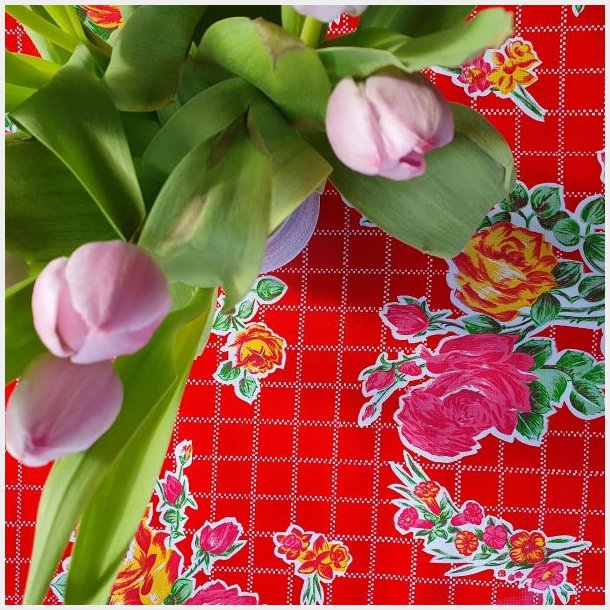 Rosendal Mexicansk R�d Voksdug med Blomster og Tern