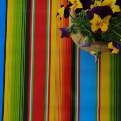 Regnbue Multikul�r Stribet Mexicansk Voksdug