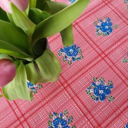 Ramitos Mexicansk Pink Voksdug