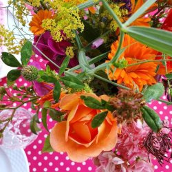 Pink med Prikker Voksdug 140 cm