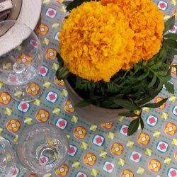 Karo Mnstret Voksdug