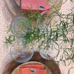 Lola Voksdug Abrikos og Laksefarvet med fisk