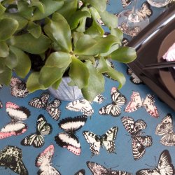 Voksdug med Sommerfugle