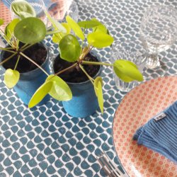 Tekstildug Turkis Mnster