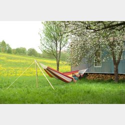 Barbados Acorola hngekje XL