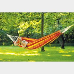 Barbados Papaya XL Hngekje