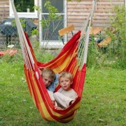 Brasil Papaya Hngestol XL