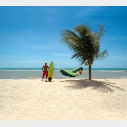 Silk Traveller Forest Rejsehngekje