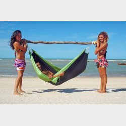 Silk Traveller Forest Rejsehngekje