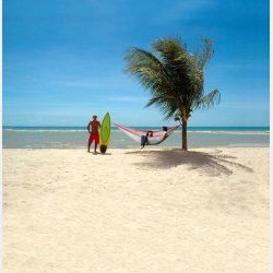 Silk Traveller XXL Red/Grey Hngekje