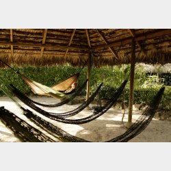 Adventure Ultra Coyote Hngekje