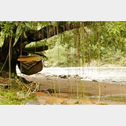 Adventure Tarp Overtrk til Hngekjer