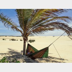 Adventure Ultra Coyote Hngekje