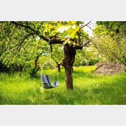 Palau Ocean Large Hngestol