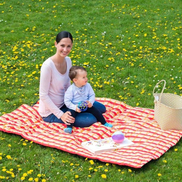 Molly Picnictppe i Orangerd