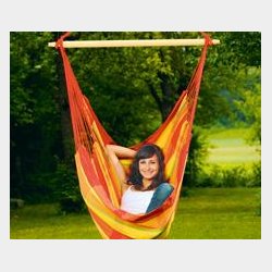 Brasil Papaya Hngestol XL