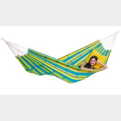 Barbados Lemon Hngekje XL