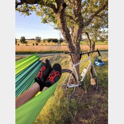 Silk Traveller Forest Rejsehngekje