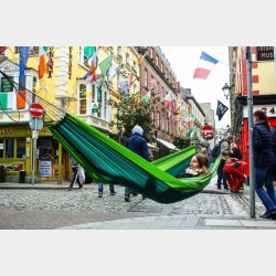 Silk Traveller Forest Rejsehngekje