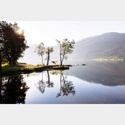 Silk Traveller Techno Rejsehngekje