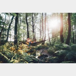 Moskito Traveller Thermo Rejsehngekje