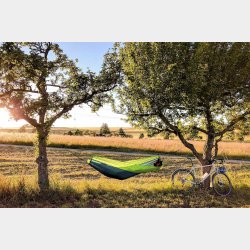 Silk Traveller Forest Rejsehngekje