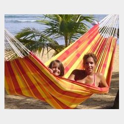 Barbados Papaya XL Hngekje