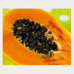 Brasil Papaya Hngestol XL