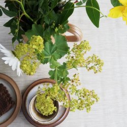 Beige Retro Voksdug 160 cm