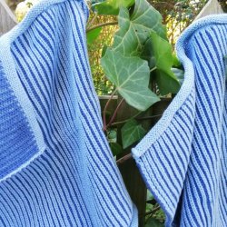 Ribstrikket Karklud og Spaklud Bl