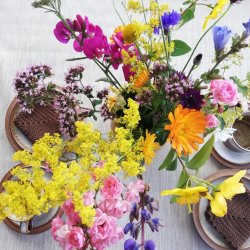 Beige Retro Voksdug 160 cm