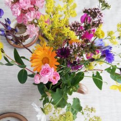 Beige Retro Voksdug 160 cm