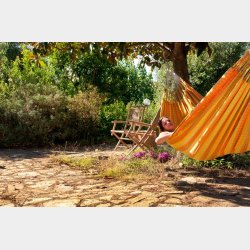 Carolina Hngekje XL Citrus