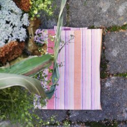 Solwang Viskestykker Terracotta kotex