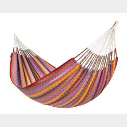 Flora kologisk Familiehngekje Kingsize Flowers