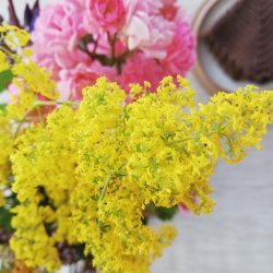 Beige Retro Voksdug 160 cm