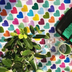 Hjerte voksdug med krlighed