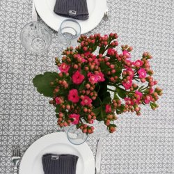 Mozarella Voksdug Gr